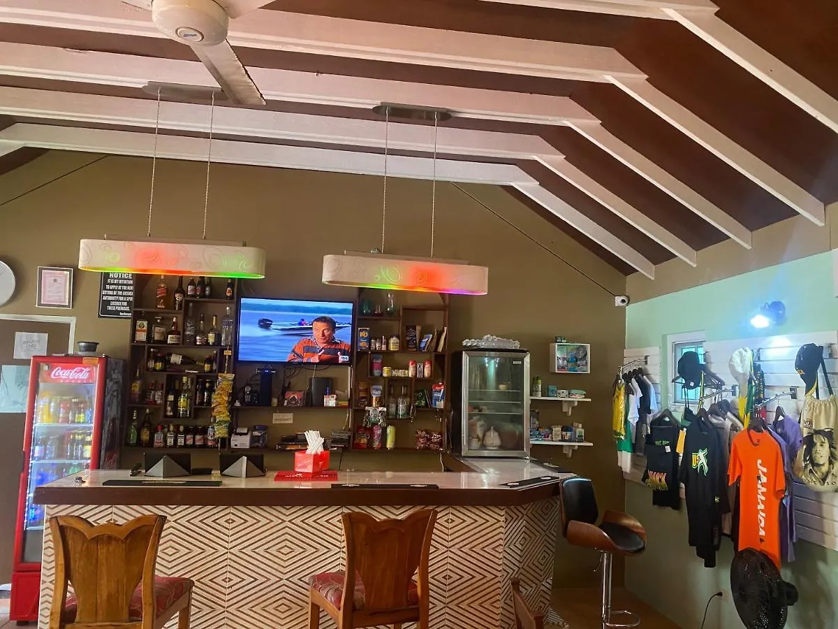 A19 Sea Castles Ocean View Daire Montego Bay